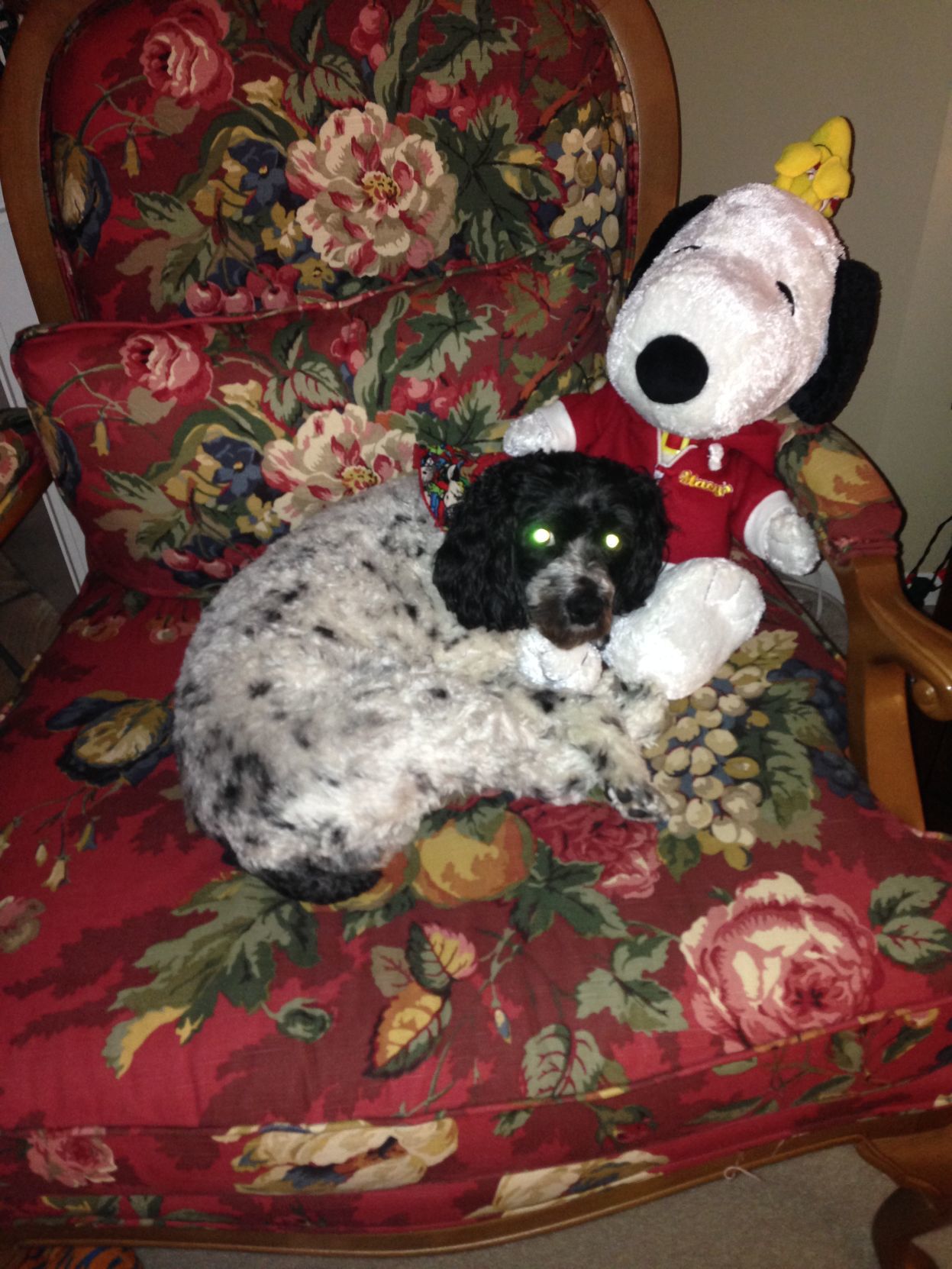 Snoopy